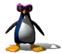 cool penguin